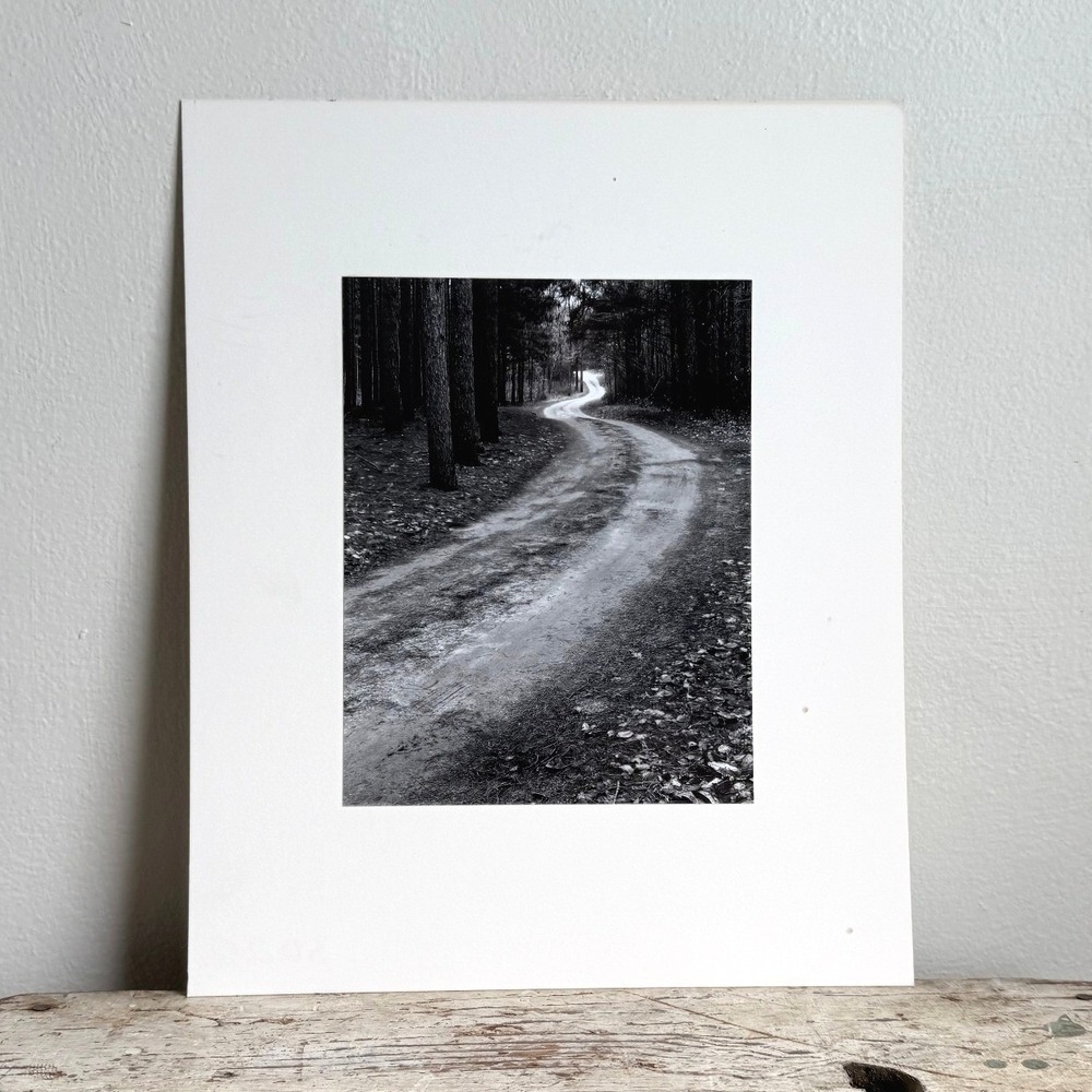 Black and White Winding Forest Path Landscape Photo Matted Art Print
